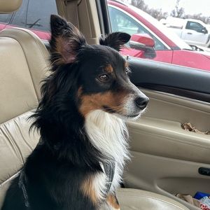 Like To Be Notified Of My Next Show